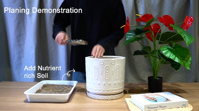 Amazon.com : Eightpot Ceramic Planter for Indoor Plants - 8 Inch